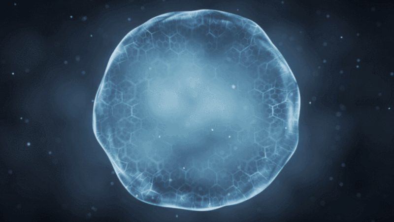北京分子生物学试剂配送，如何快速高效？**