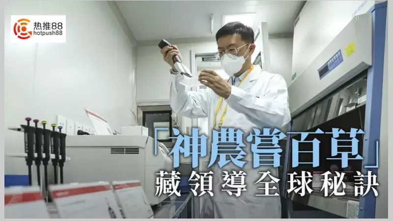 临床前生物医药外包公司，市场排名背后的考量因素