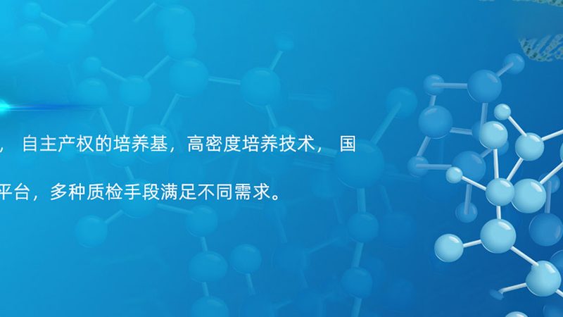 PCR检测实验室哪家正规