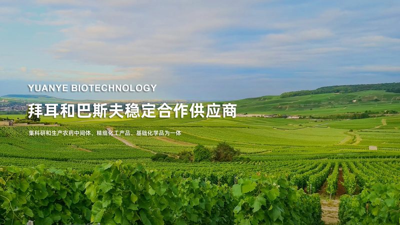 多道移液器：精准科研的得力助手，如何挑选合适型号？**