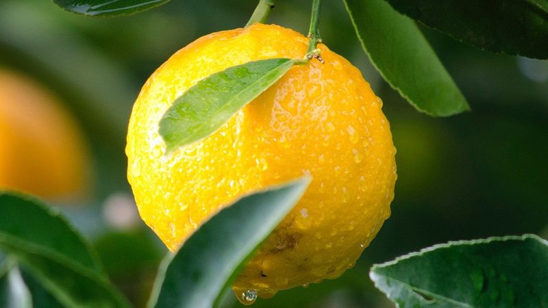 生物医药洁净室净化设备：揭秘其核心技术与选型要点